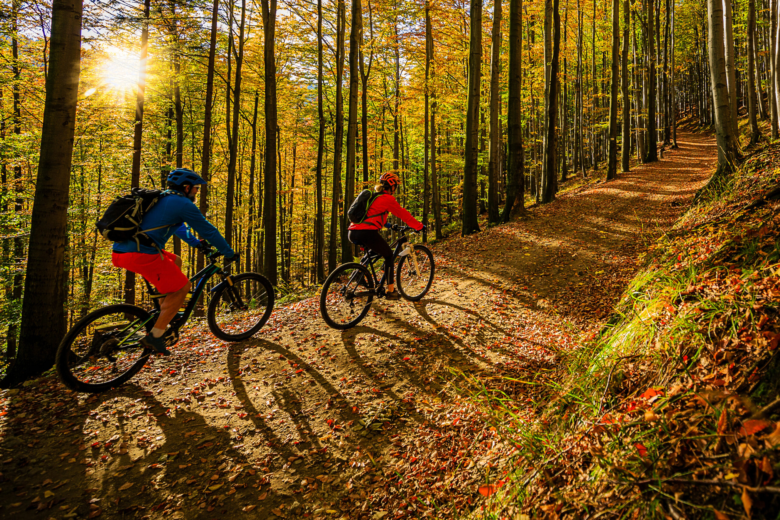 Cycling, Mountain Biker Couple On Cycle Trail In Autumn Forest.